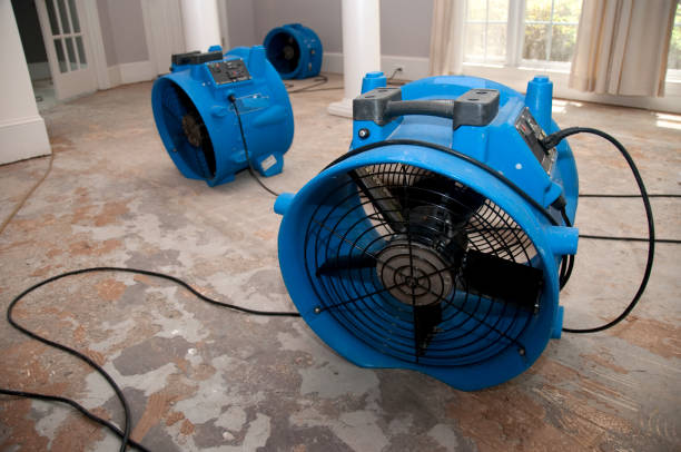 Best Flooded house restoration  in London, CA