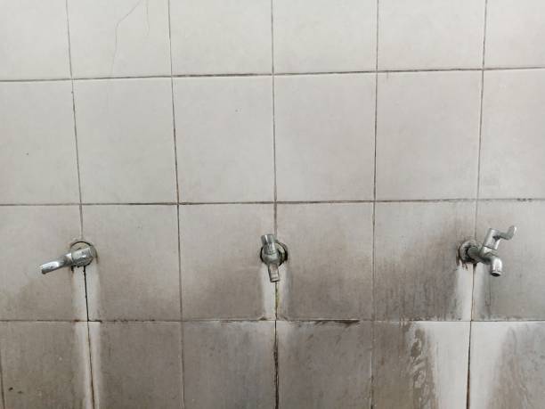 Best Basement water damage restoration  in London, CA