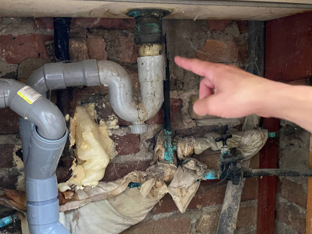Best Ceiling water damage repair  in London, CA
