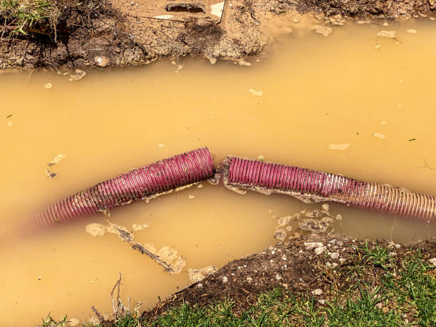 Best Water damage restoration near me  in London, CA