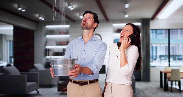 Best Local water damage restoration  in London, CA